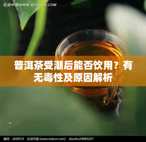 普洱茶受潮后能否饮用？有无性及原因解析