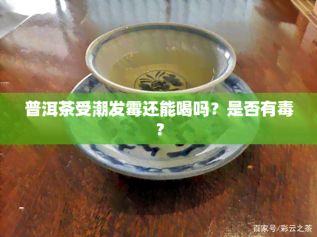 普洱茶受潮发霉还能喝吗？是否有？