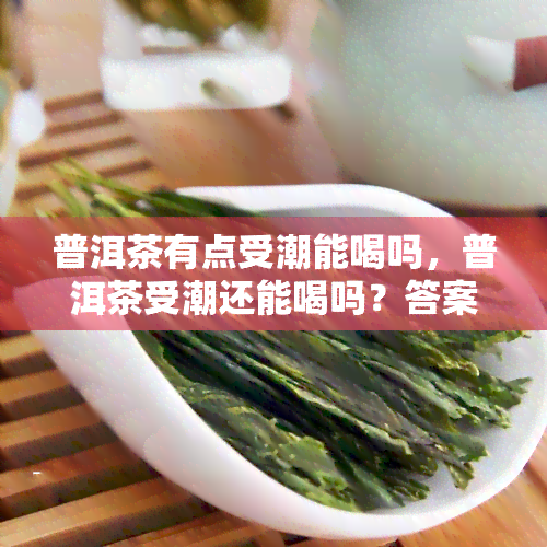 普洱茶有点受潮能喝吗，普洱茶受潮还能喝吗？答案在这里！