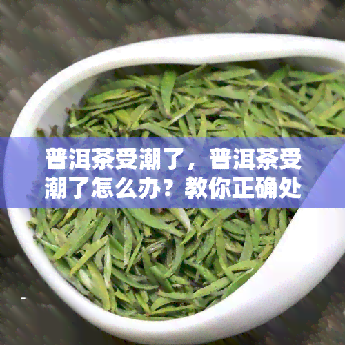 普洱茶受潮了，普洱茶受潮了怎么办？教你正确处理方法！