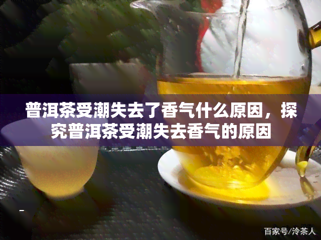 普洱茶受潮失去了香气什么原因，探究普洱茶受潮失去香气的原因