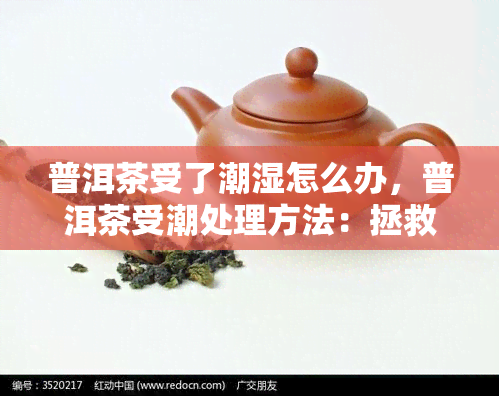 普洱茶受了潮湿怎么办，普洱茶受潮处理方法：拯救你的茶叶！