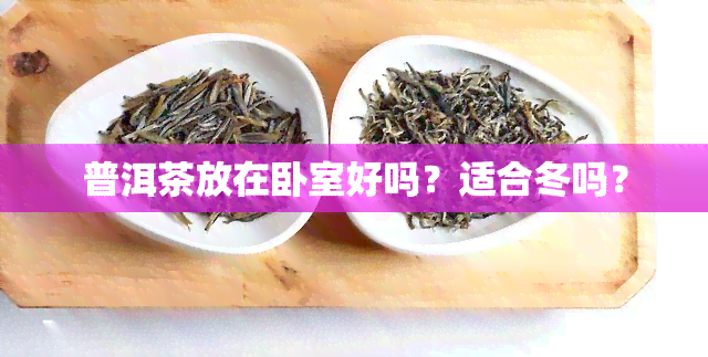 普洱茶放在卧室好吗？适合冬吗？