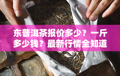 东普洱茶报价多少？一斤多少钱？最新行情全知道！