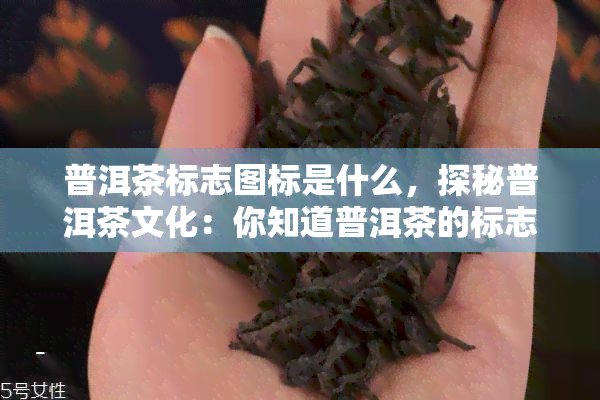 普洱茶标志图标是什么，探秘普洱茶文化：你知道普洱茶的标志图标是什么吗？