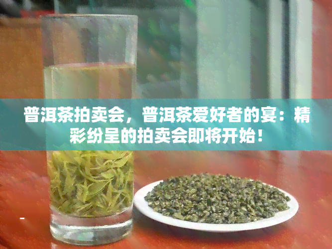 普洱茶拍卖会，普洱茶爱好者的宴：精彩纷呈的拍卖会即将开始！