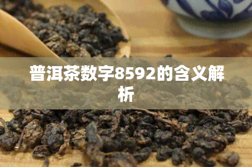 普洱茶数字8592的含义解析