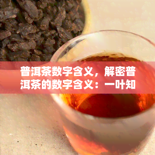 普洱茶数字含义，解密普洱茶的数字含义：一叶知秋的故事