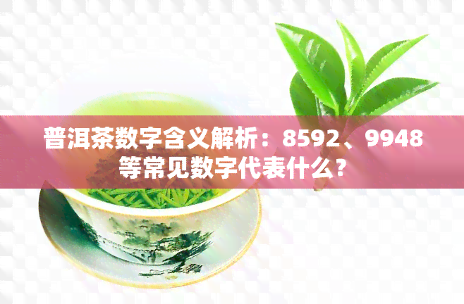 普洱茶数字含义解析：8592、9948等常见数字代表什么？