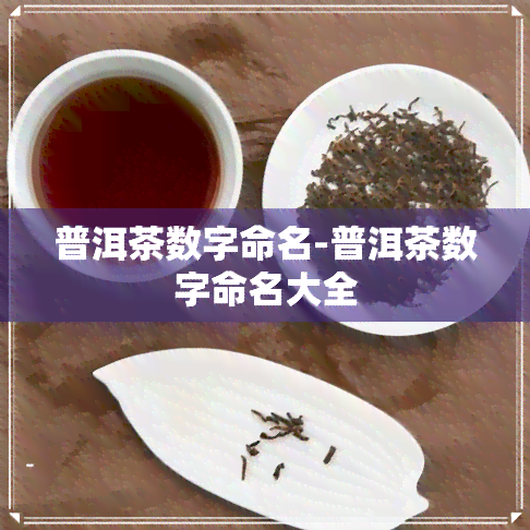 普洱茶数字命名-普洱茶数字命名大全