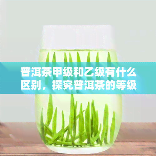 普洱茶甲级和乙级有什么区别，探究普洱茶的等级差异：甲级与乙级的区别是什么？