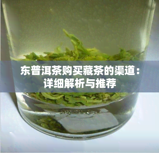 东普洱茶购买藏茶的渠道：详细解析与推荐