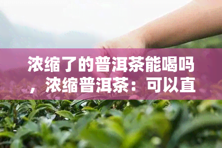 浓缩了的普洱茶能喝吗，浓缩普洱茶：可以直接饮用吗？