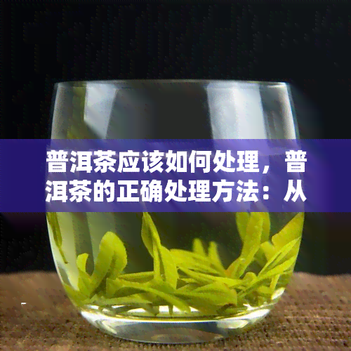 普洱茶应该如何处理，普洱茶的正确处理方法：从存到冲泡，你需要知道的一切