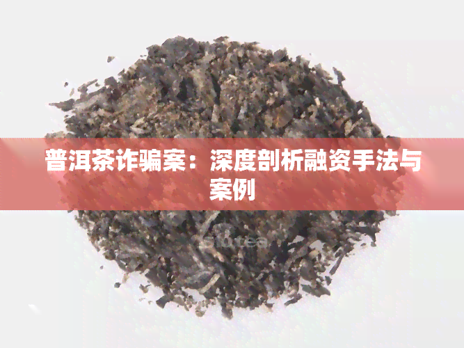 普洱茶诈骗案：深度剖析融资手法与案例