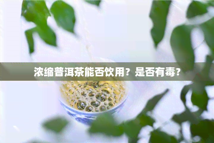 浓缩普洱茶能否饮用？是否有？