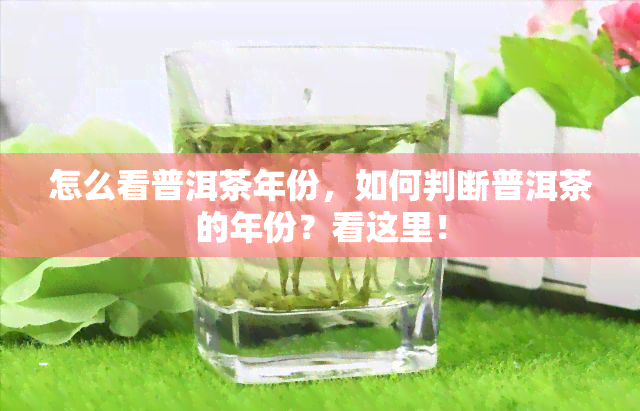 怎么看普洱茶年份，如何判断普洱茶的年份？看这里！