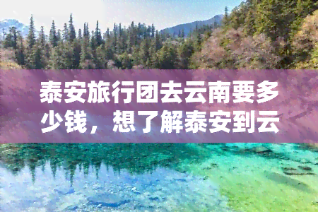 泰安旅行团去云南要多少钱，想了解泰安到云南的旅行团费用？答案在这里！