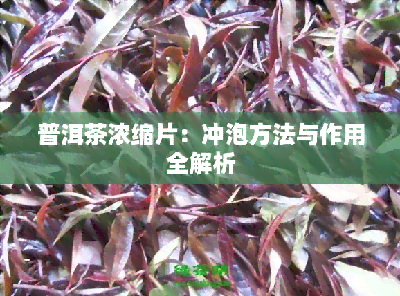 普洱茶浓缩片：冲泡方法与作用全解析