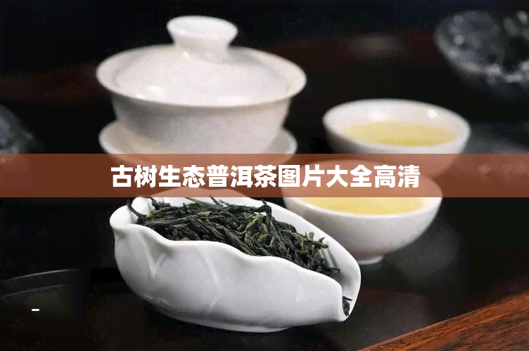 古树生态普洱茶图片大全高清