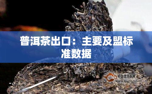 普洱茶出口：主要及盟标准数据