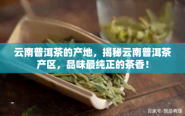 云南普洱茶的产地，揭秘云南普洱茶产区，品味最纯正的茶香！