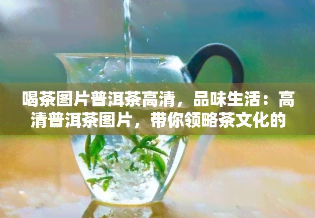 喝茶图片普洱茶高清，品味生活：高清普洱茶图片，带你领略茶文化的魅力！