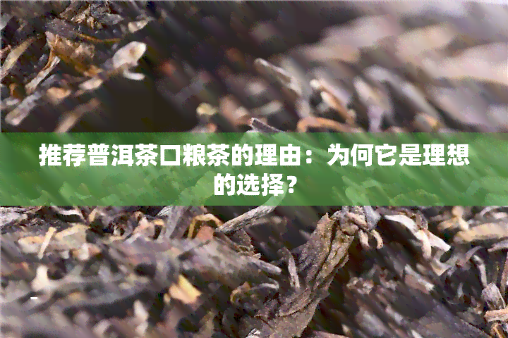 推荐普洱茶口粮茶的理由：为何它是理想的选择？