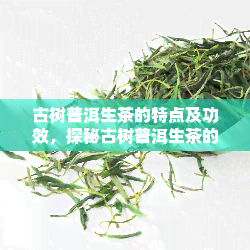 古树普洱生茶的特点及功效，探秘古树普洱生茶的独特特点及其神奇功效