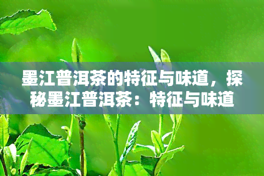 墨江普洱茶的特征与味道，探秘墨江普洱茶：特征与味道的独特魅力