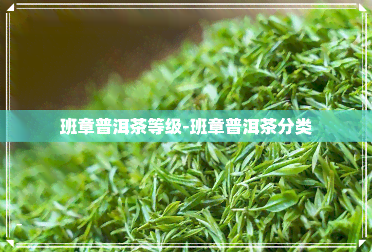 班章普洱茶等级-班章普洱茶分类