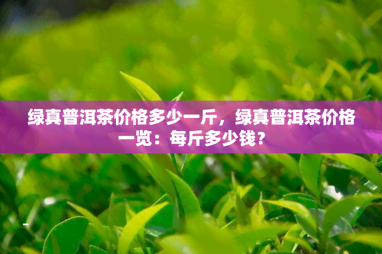 绿真普洱茶价格多少一斤，绿真普洱茶价格一览：每斤多少钱？