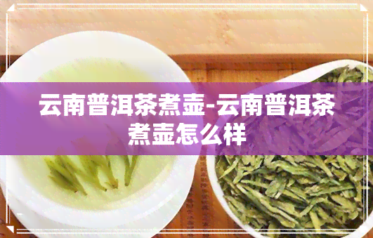 云南普洱茶煮壶-云南普洱茶煮壶怎么样