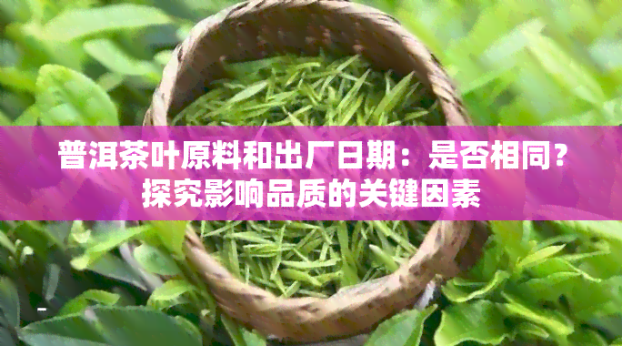 普洱茶叶原料和出厂日期：是否相同？探究影响品质的关键因素