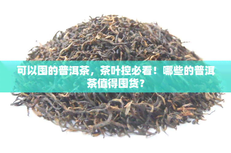 可以囤的普洱茶，茶叶控必看！哪些的普洱茶值得囤货？