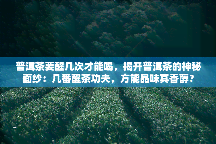 普洱茶要醒几次才能喝，揭开普洱茶的神秘面纱：几番醒茶功夫，方能品味其香醇？