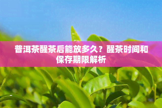 普洱茶醒茶后能放多久？醒茶时间和保存期限解析