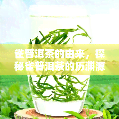 雀普洱茶的由来，探秘雀普洱茶的历渊源与独特魅力