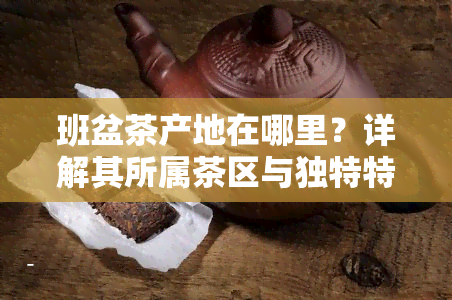 班盆茶产地在哪里？详解其所属茶区与独特特点