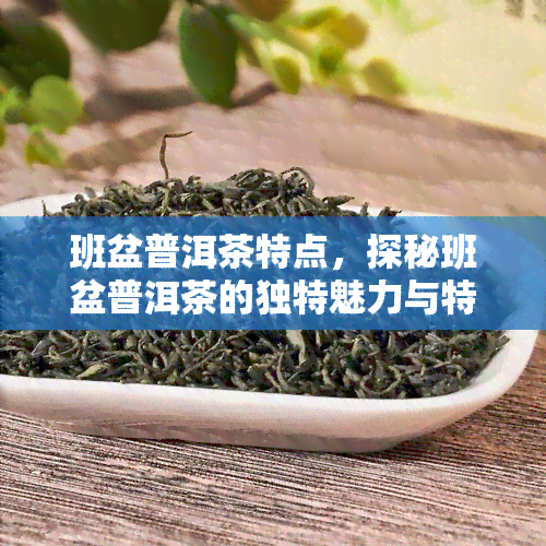 班盆普洱茶特点，探秘班盆普洱茶的独特魅力与特点