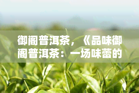 御阁普洱茶，《品味御阁普洱茶：一场味蕾的宴》