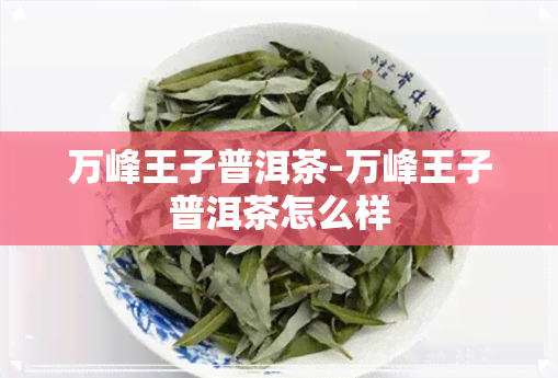 万峰王子普洱茶-万峰王子普洱茶怎么样