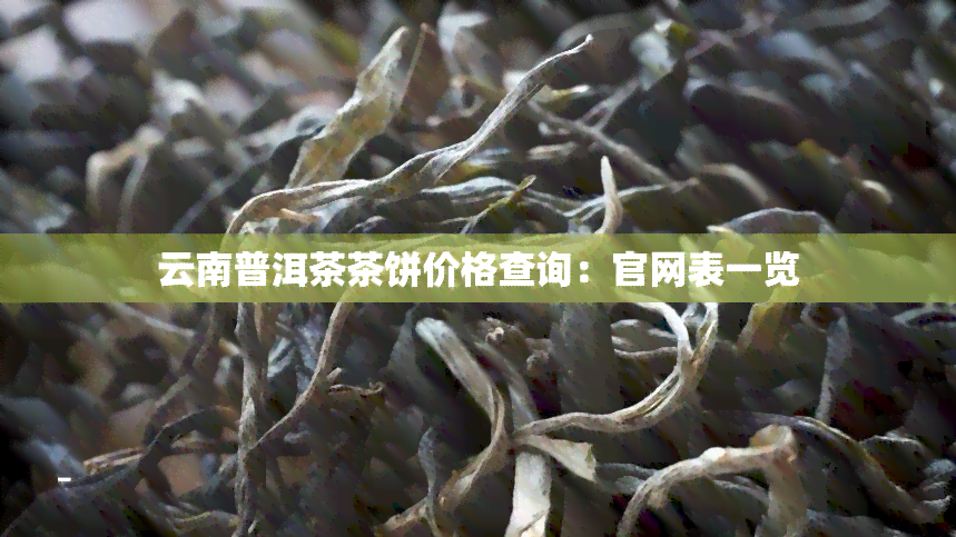 云南普洱茶茶饼价格查询：官网表一览