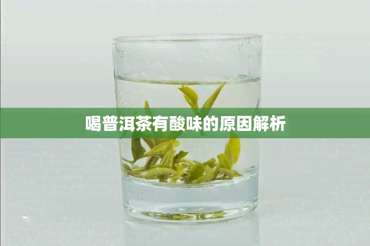 喝普洱茶有酸味的原因解析