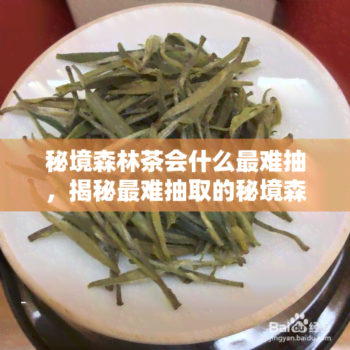 秘境森林茶会什么最难抽，揭秘最难抽取的秘境森林茶会卡牌！