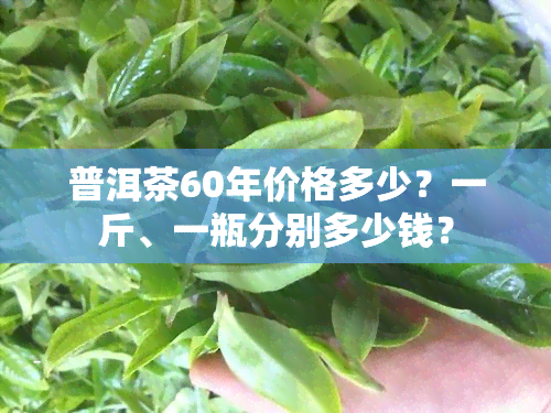 普洱茶60年价格多少？一斤、一瓶分别多少钱？