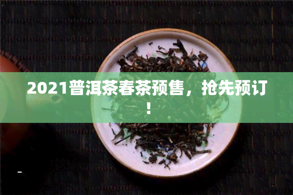 2021普洱茶春茶预售，抢先预订！