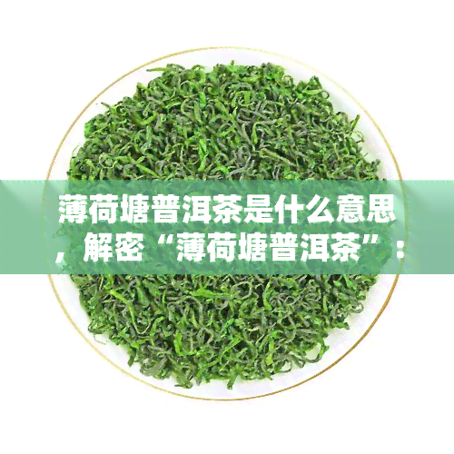 薄荷塘普洱茶是什么意思，解密“薄荷塘普洱茶”：一种独特的茶叶品种及其特点