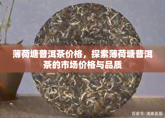 薄荷塘普洱茶价格，探索薄荷塘普洱茶的市场价格与品质