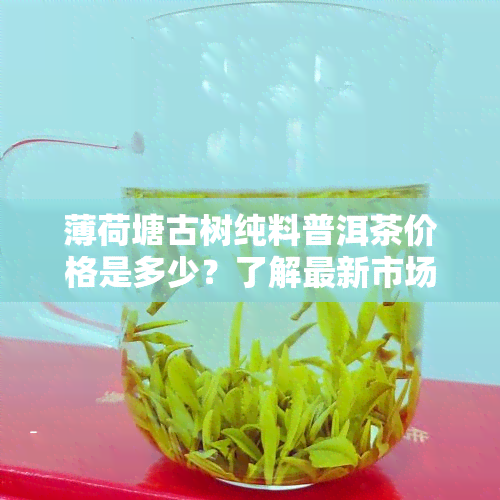 薄荷塘古树纯料普洱茶价格是多少？了解最新市场行情与价值定位！